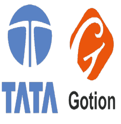Tata_-_Gotion-removebg-preview